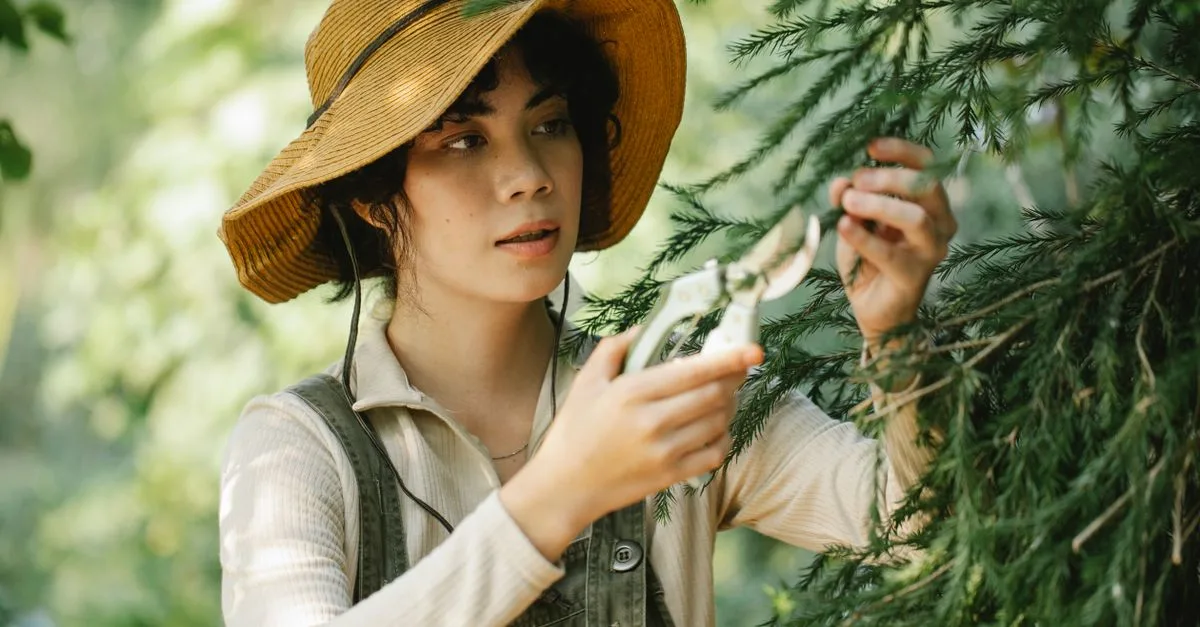découvrez les meilleures techniques d'élagage pour entretenir vos arbres et arbustes, favoriser leur croissance et améliorer la santé de votre jardin.